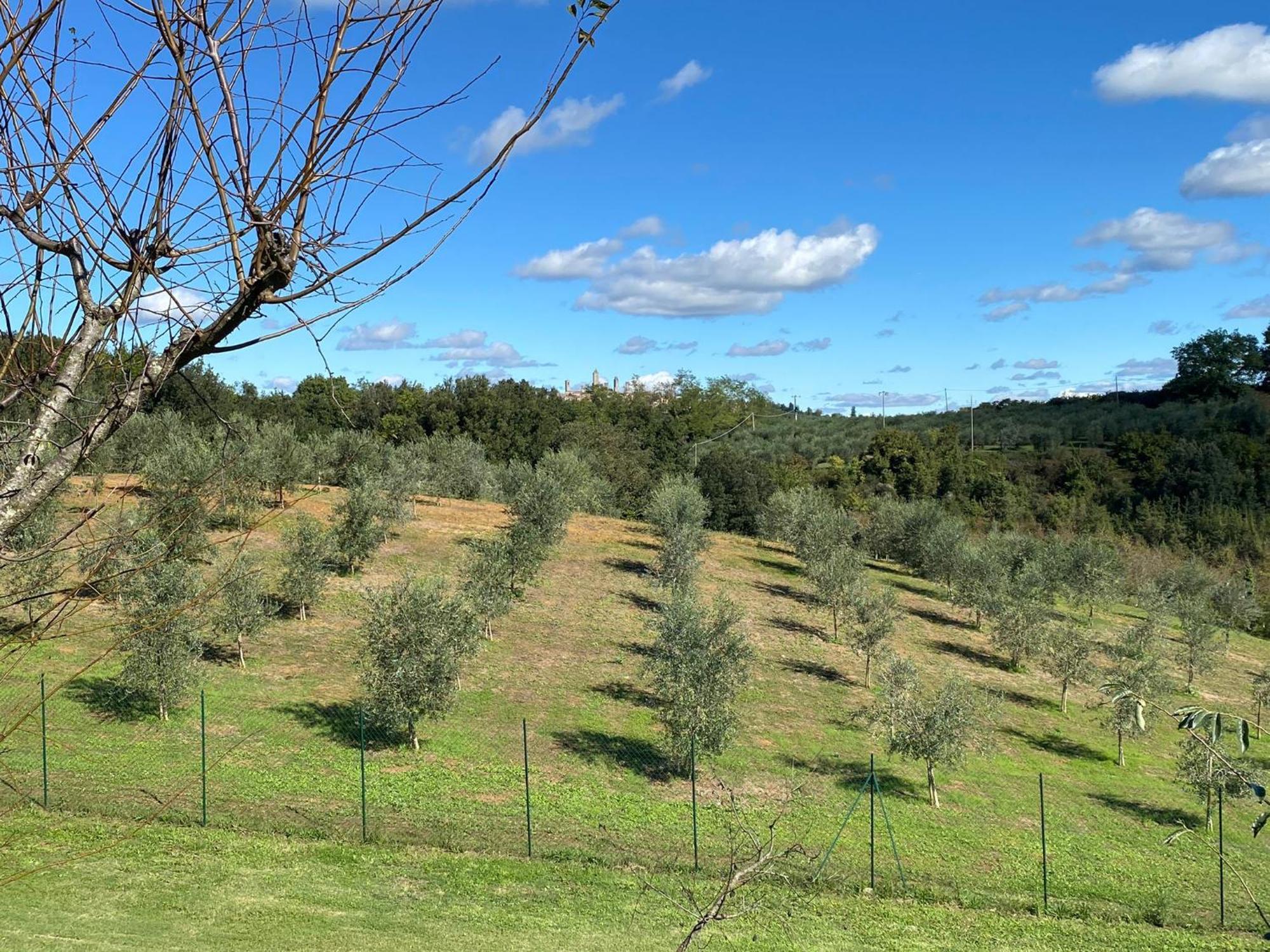 Podere Casanuova San Gimignano Exteriér fotografie