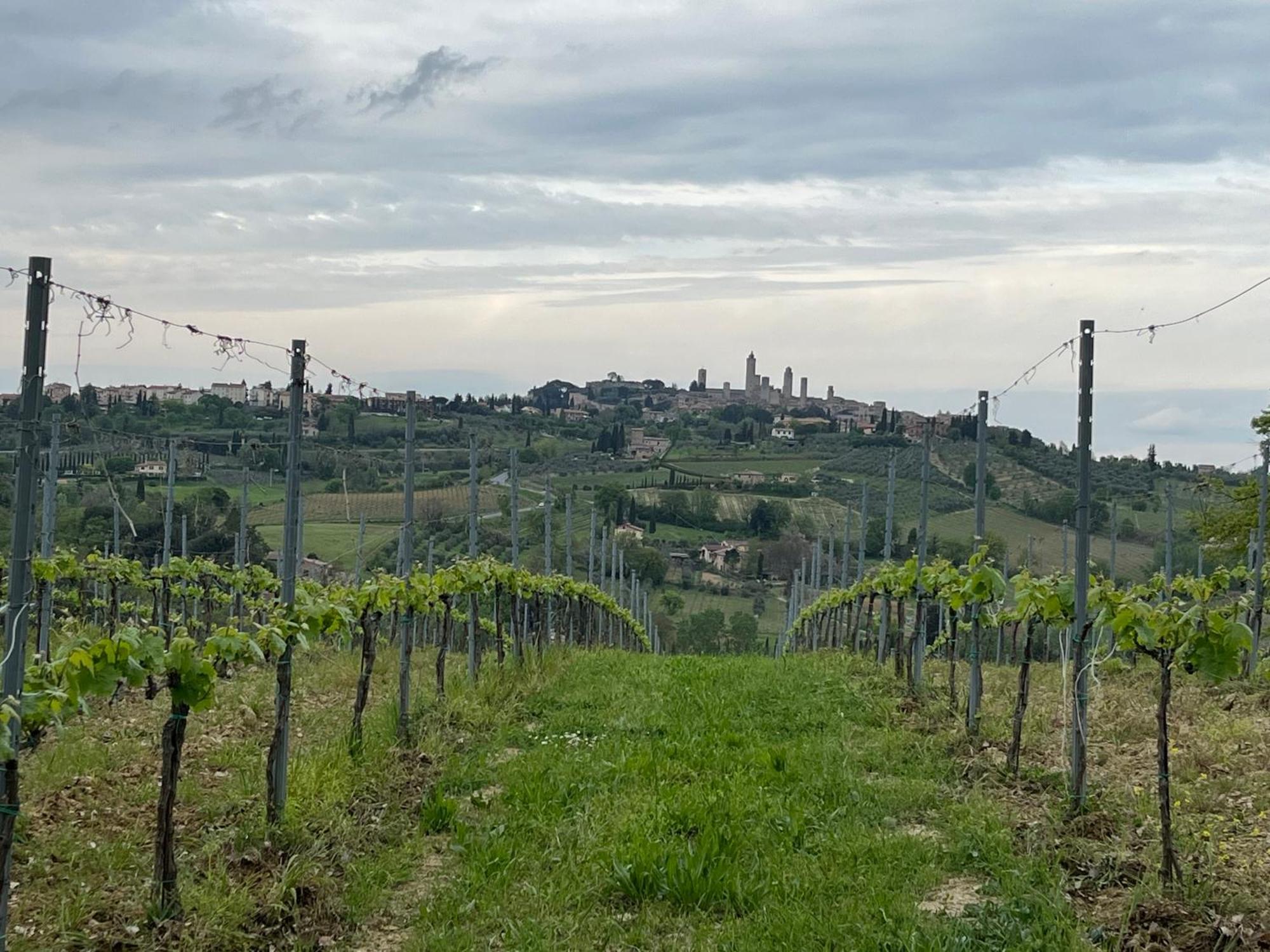 Podere Casanuova San Gimignano Exteriér fotografie
