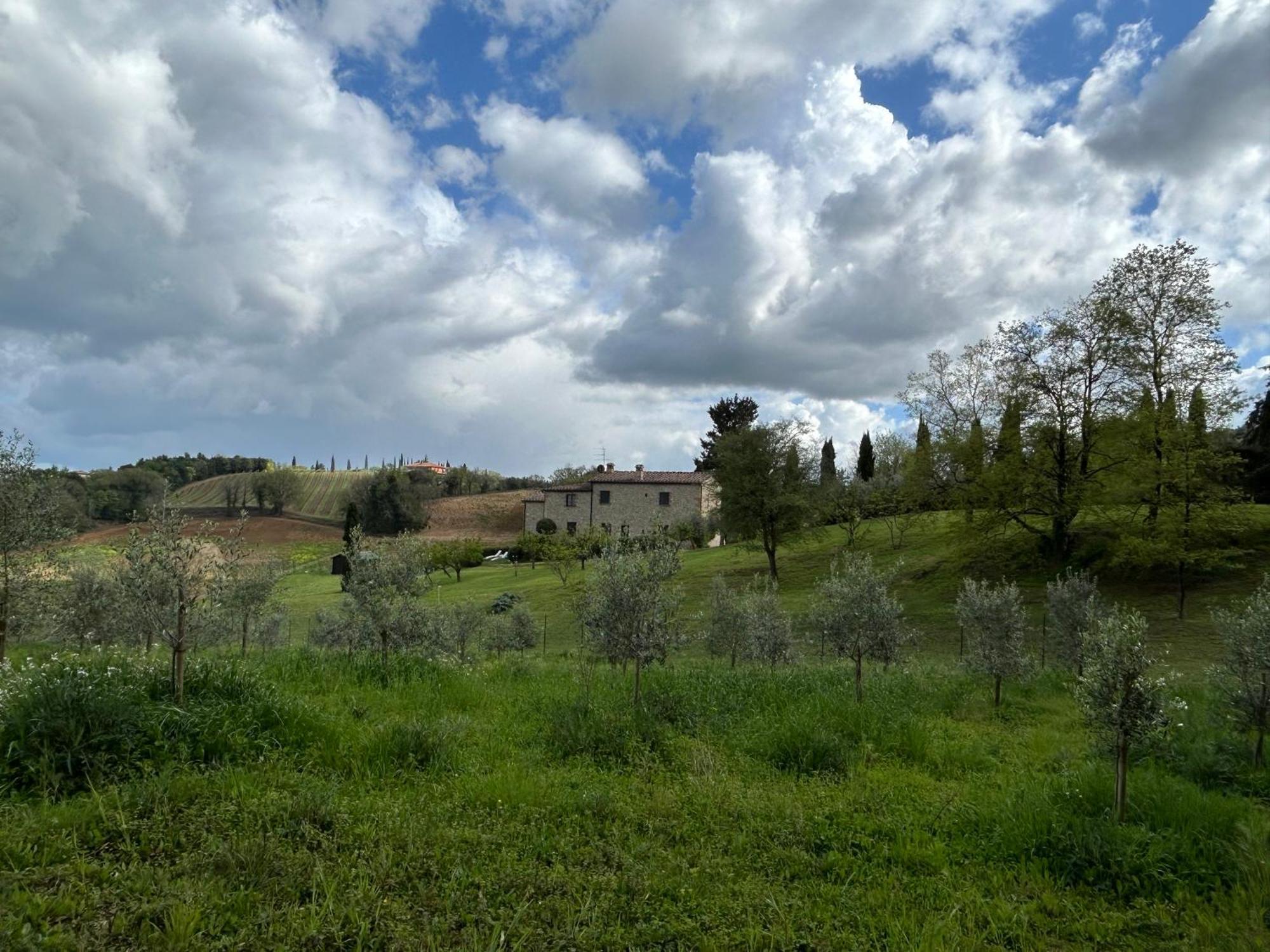 Podere Casanuova San Gimignano Exteriér fotografie