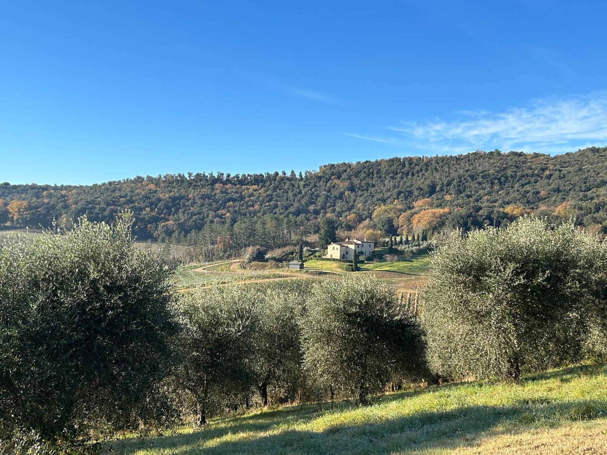 Podere Casanuova San Gimignano Exteriér fotografie
