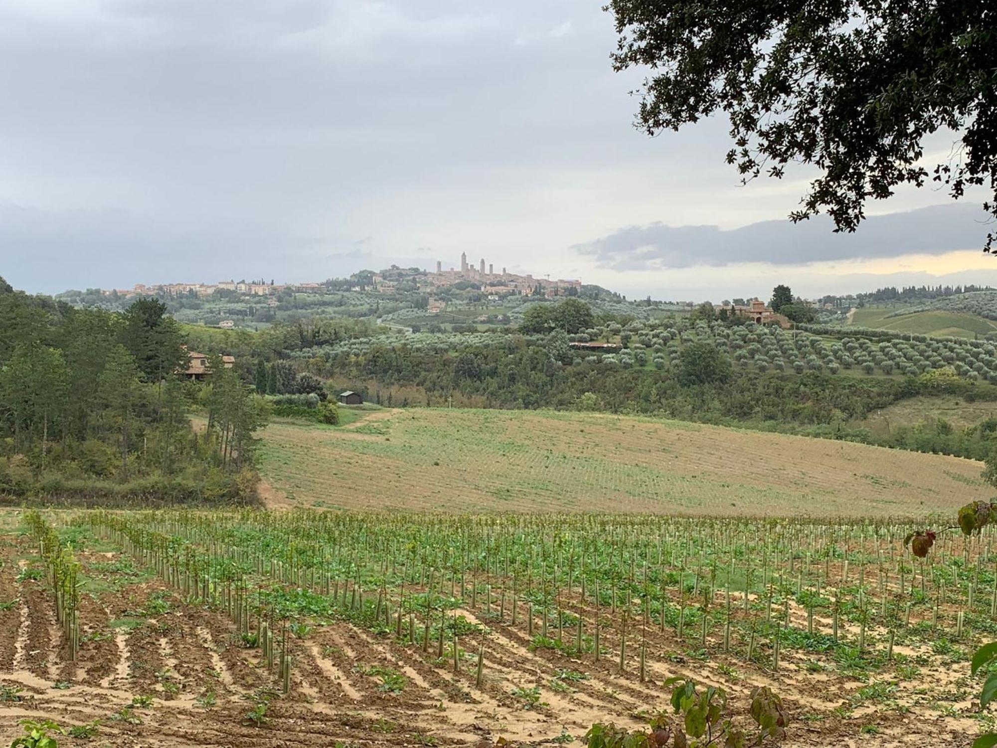 Podere Casanuova San Gimignano Exteriér fotografie