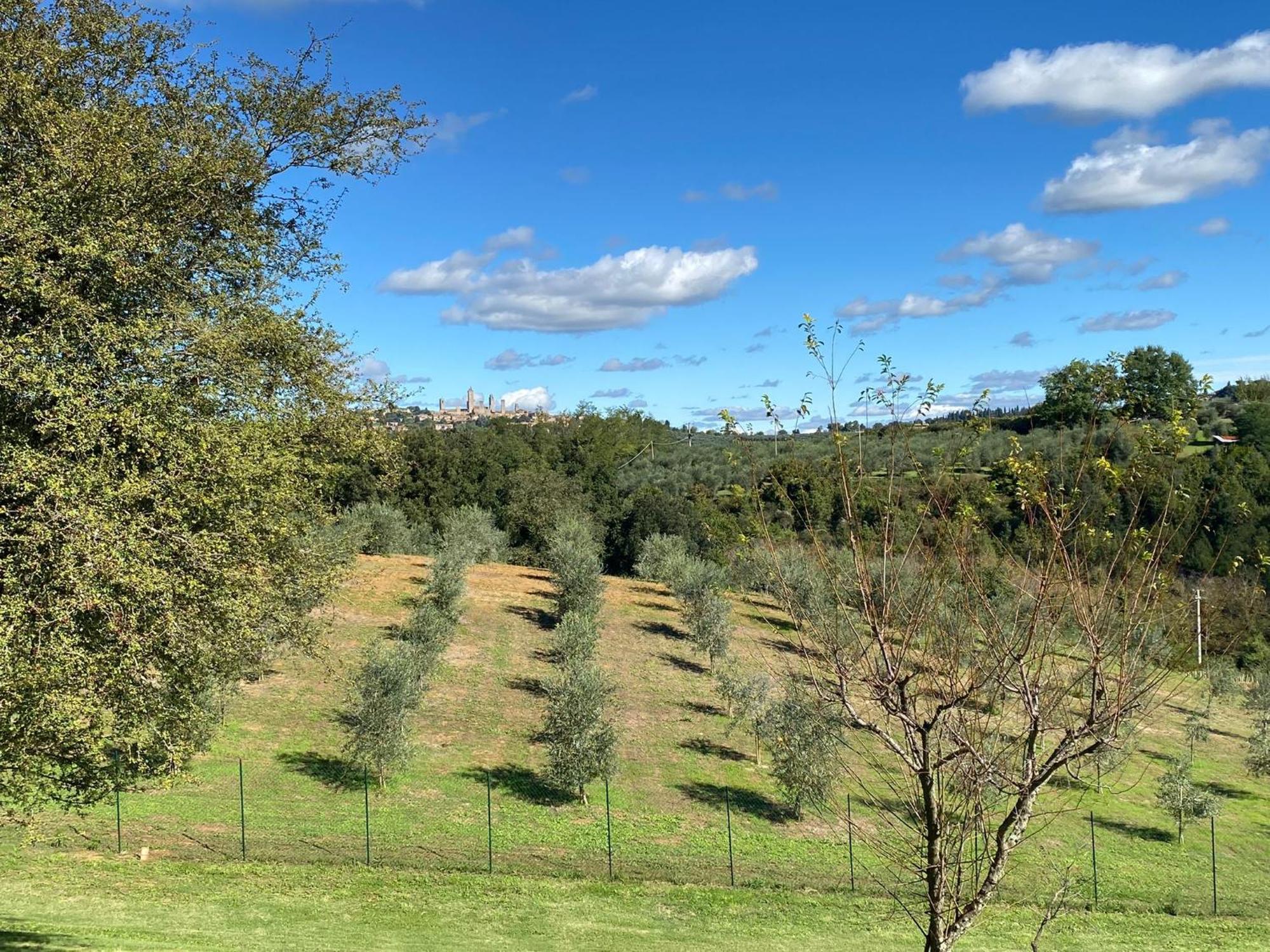Podere Casanuova San Gimignano Exteriér fotografie